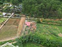 Đất Nghỉ Dưỡng Dưới Chân Đèo Prenn, Giáp Rừng Thông
