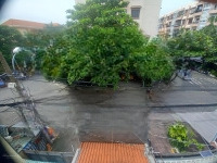 Bán Nhà Mặt Tiền Kinh Văn Phòng Doanh Đường S11 Phường Tây Thạnh Quận Tân Phú 100M2 Đúc 3 Tầng