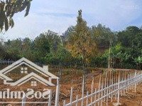 Bán Gấp Đất Tại Thị Trấn Nam Ban, Lâm Hà, Lâm Đồng, 1,250 Tỷ, Hơn 350M2 Thổ Cư Sẵn