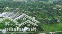 Đất Làm Trang Trại Hòa Ninh, 8000M2 Có 300M2 Đất Ở Có Sẵng Vườn Cây Ăn Trái.