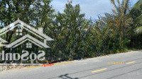 Bán Đất Giá Rẻ Tại Đường Tống Văn Sương Thuộc Xã Cẩm Thanh, Thành Phố Hội An