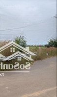 Bán 5300M2 Tại Tân Lâm Xuyên Mộc, Bà Rịa Vũng Tàu, Đường 5M Giá Chỉ 1.75 Tỷ