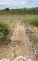 Bán 5300M2 Tại Tân Lâm Xuyên Mộc, Bà Rịa Vũng Tàu, Đường 5M Giá Chỉ 1.75 Tỷ