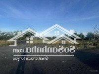 Nền Biệt Thự Góc Đầu Khu Đồi Vị Trí Hoa Hậu, 2 Mặt Tiền Trục Chính, Đối Diện Trường Học, Sổ Hồng