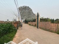 Đất Nhà Vườn, Nhà Xưởng - Đất 50 Năm Sổ Trồng Cây