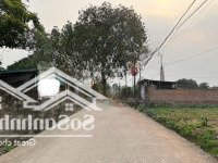 Đất Nhà Vườn, Nhà Xưởng - Đất 50 Năm Sổ Trồng Cây