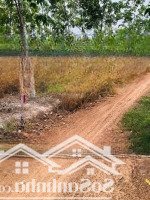 Chủ Gửi 1000M2. Có 300M2 Thổ Cư. Đất Làm Khu Nghỉ Dưỡng. Hoặc Ở. Đầu Tư