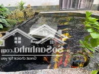 Biệt Thự Villas Đảo Nổi 600M2, 3 Tầng View Sông Thăng Long, Khu Compound Đẳng Cấp Đà Nẵng. Giá Tốt