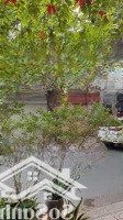 Hoa Hậu Khu Bà Chiểu. Mặt Tiền Kinh Doanh 8X19M - Công Nhận 156M2 - 3 Tầng - Ngộp Về Giá Bán 30 Tỷ
