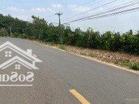 Bán Đất Tại Xã Tân Lạc, Bảo Lâm, Lâm Đồng, 1,65 Tỷ, 118M2, Giá Siêu Hời