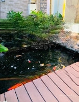 Bán Nhà Bình Thuận, Q7, Tp.hcm, 16,8 Tỷ, 112M2