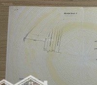 Bán Cặp Đất Yên Thế 260M2 Ngang 10M, Giá Tốt Nhất Thị Trường 6 Tỷ/Lô