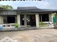 Cho Thuê Biệt Thự Sân Vườn 500M2 Phường Chánh Nghĩa Tdm Bdg Liên Hệ: 0965133685
