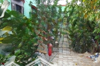Bán Gấp Nhà Riêng 4,4 Tỷ, 300M2 Tại Trần Quang Đạo, Bình Khánh, Cần Giờ, Tp.hcm