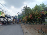 Bán Quán Cafe, Ngay Chợ Tân Phú Trung, Sổ Hồng Riêng, 12X27=412M2, Đất Cây, Giá Bán 1.6 Tỷ