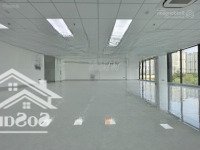 Cho Thuê Tòa Nhà Đôi Đường Tạ Hiện, Thạnh Mỹ Lợi, Quận 2. Dt: 50X35M. Hầm Trêt 5 Lầu