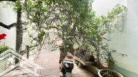 Bán Nhà Cấp 4 Mặt Tiền Đường Lam Sơn - Giá Bán 14,5 Tỷ