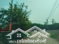 Bán 884M2 Tc Sổ Sẵn Sát Kcn An Linh Cách Đường Dh 507 200M Dân Đông Hiện Hữu. Liên Hệ: 0325030897 (Vy)