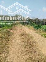 Đất Sào Xã An Cơ, Huyện Châu Thành, Tây Ninh, Cách Đường Nhựa 200M, Làm Vườn, Nhà Vườn, Nuôi Yến