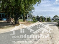 Bán Gấp 232M2 Đất, Sổ Riêng, Thuộc Ấp Chánh, Tân Thông Hội, Củ Chi, Giá Bán 700 Triệu