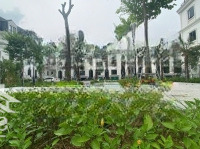 31 Tỷ - Ngoại Giao Liền Kề Và Biệt Thự Jade Square, Nguyễn Đình Tứ, Xuân Đỉnh, Bắc Từ Liêm