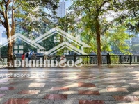 Tòa Nhà Mặt Đường Q.hồng Bàng - 400M2 -Mặt Tiền15M - Thang Máy - Pccc Đạt Chuẩn - Dòng Tiền 200 Tr/Th