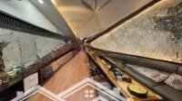Cực Đẹp! Bán Nhà Riêng Trung Kính, Phân Lô, Ô Tô Tránh, Ngõ Thông, Thang Máy, 98M2*7T