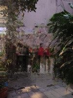 Vị Trí Đỉnh - Gần Phố - Ngõ Ôtô Tránh Ôtô Tải Vào Nhà - Hang Xóm Ngoai Giao Đoàn - Gần Hồ Tây