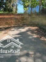 Bán Đất Tại Đường Dh507, Xã An Linh, Phú Giáo, Bình Dương, 2,2 Tỷ, 3500M2 Đẹp