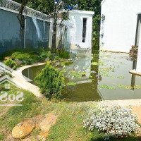 Chủ Cần Bán Hôm Sây Nghỉ Dưỡng Tuyệt Đẹp Này- Gần Chợ, Ngay Sát Trục Đường Liên Xã