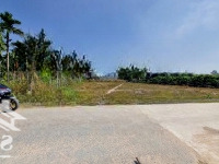 5X48M. Mặt Tiền Đường Nhựa. 240M2 Có Thổ Cư. 490 Triệu