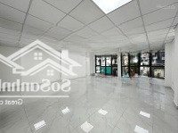 Cho Thuê Tòa Nhà Đường Trương Công Định, P14. Dt: 7X25M. Hầm Nổi 5 Lầu. Sàn Suốt. Giá 70 Triệu/Tháng.