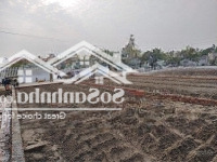 Chính Chủ Tôi Bán Lô Đất 128,7M2. Đất Ở Tại Đông Trung, Tiền Hải Thái Bình, Đường Thông Dân Cư Sẵn