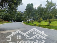 Villa Sân Vườn Ngay Trung Tâm,Diện Tích147M2, Đường Tô Hiến Thành, Đường Nhựa Ô Tô. Giá Bán 11 Tỷ