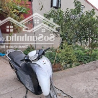 Bán Đất Lô Góc Sổ Đỏ Chính Chủ, Xã Hồng Vân, Thường Tín, 64,8M2, Mt: 4M, Lô Góc - Vượng Khí Tài Lộc