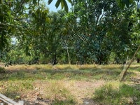 Bán Đất Tại La Ngà Gần Hồ Trị An, Cách Mặt Hồ Chỉ 40M Đất Đẹp, Sổ Hồng Chính Chủ