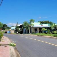 B.á.n 438m2 đất mặt tiền nhựa Nguyễn Trãi, Gò Công Đông, Tiền Giang.