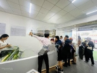 Bán Shophouse View Đẹp Tại Hùng Vương, 7,5 Tỷ, 160M2, 6 Phòng Ngủ 3Wc