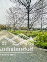 Cực Hiếm Lô Góc 285M2, Đường 3 Ô Tô Tại Đồng Vàng Phú Mãn, Sát Đhqg Tại Hoà Lạc. Chỉ Hơn 5 Tỷ