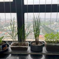 Bán căn chung cư 82m2 tòa CT1A tầng trung full nội thất view đẹp KĐT Tân Tây Đô