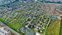Hàng Hiếm Nền Biệt Thự 240M2 Kdc Nam Long - Sổ Hồng Riêng Hướng Đông Nam - Giá 85 Triệu/M2