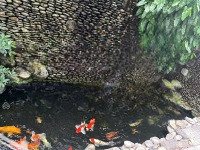 Villa Sân Vườn Cao Cấp Cạnh Đảo Kim Cương Quận 2 6 Phòng Ngủ Phòng Rượu, 2 Hồ Cá Koi ,Gỗ Sồi Cao Cấp