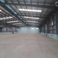 Bán nhà xưởng 20.000 m² trong KCN Long Giang - Tiền Giang