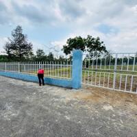 Đất sào ở Bảo Lộc, Bảo Lâm có 200m2 thổ cư, ngang 30m gần chợ