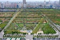 Chính Chủ Bán Biệt Thự An Vượng Villa Phường Dương Nội Quận Hà Đông, Giá Bán 30 Tỷ