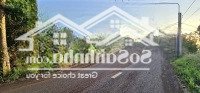 Chủ Ngộp Cần Bán Nhà Vườn Giá Rẻ 3000M2, Mặt Tiền Đường Nhựa Liên Xã Xuân Tây, Cẩm Mỹ, Đồng Nai