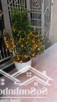 Bán Gấp Nhà Riêng 130 Triệu, 32.1M2 Tại Tả Thanh Oai, Thanh Trì, Hà Nội Hot!