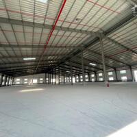 Cho Thuê 3.500m2 – 4.950m2 Nhà Xưởng Mới Trong KCN Bàu Bàng Bình Dương