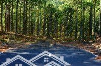 Bán Đất 5000M2 Sổ Đỏ Tại Ngọc Thanh, Phúc Yên, Giá Cực Chất 17,5 Tỷ Gần Thung Lũng Thanh Xuân
