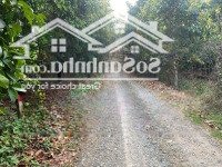 Bán Đất Tại An Sơn, 2,7 Tỷ, 250M2, Mặt Tiền 5M, Vườn Măng Cụt Tốt, Kế Bên Nhà Mái Thái.